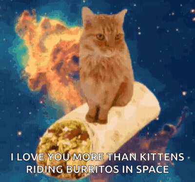 Cat On Burrito I Love You More Than Kittens Riding Burritos In Space GIF
