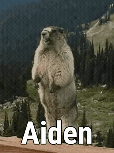 Cat On Coffee Table In Front Of Television GIF