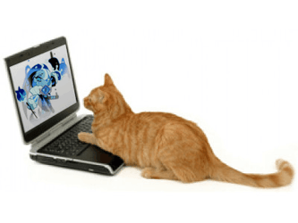 Cat On Computer Chilling GIF