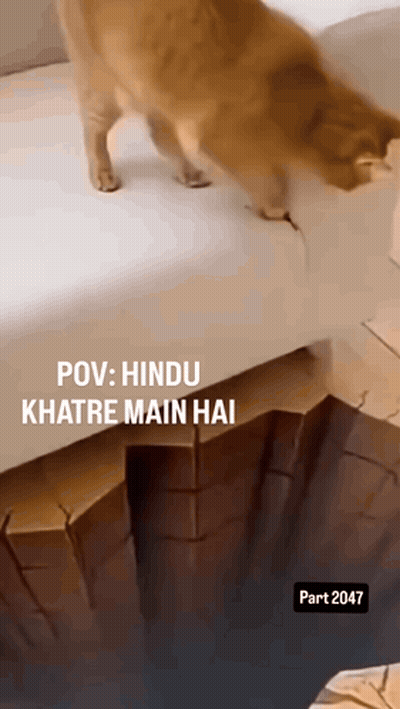Cat On Couch POV Hindu Khate Main Hai GIF