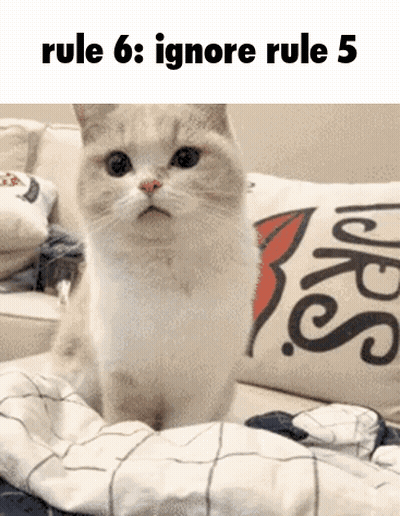 Cat On Couch Rule 6 Ignore Rule 5 GIF
