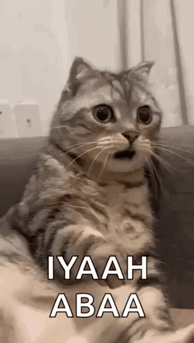 Cat on Couch Surprised Mouth Open