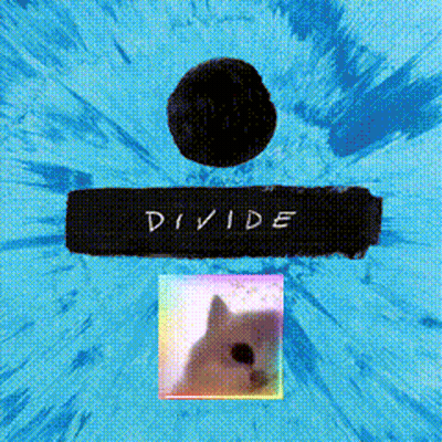 Cat On Divide Album Cover GIF