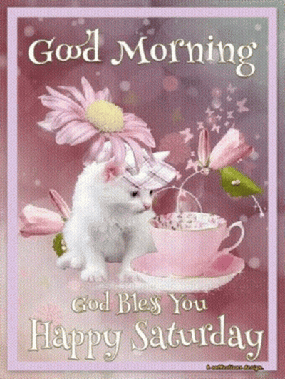 Cat on Good Morning Card