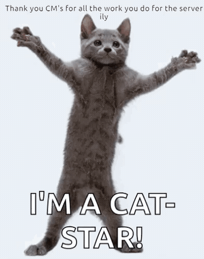 Cat On Hind Legs Arms Outstretched Saying I'm A Cat Star GIF