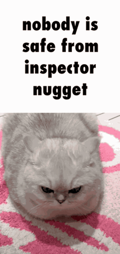 Cat On Pink And White Rug Says Nobody Is Safe From Inspector Nugget GIF