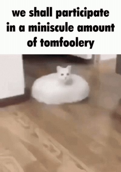 Cat On Robot Vacuum Cleaner GIF