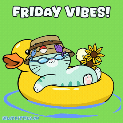Cat on Rubber Duck Friday Vibes