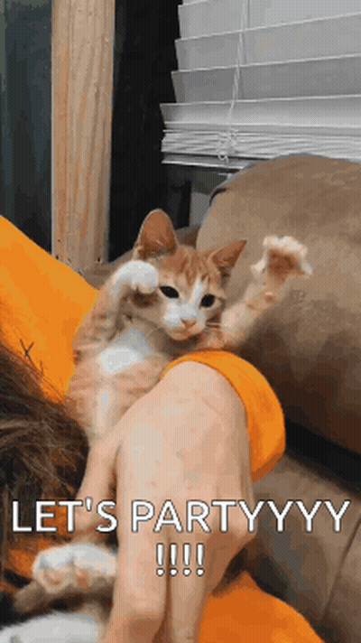 Cat On Shoulder Saying Let's Partyyyy GIF