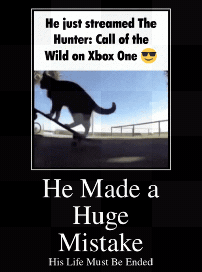 Cat On Skateboard He Made A Huge Mistake His Life Must Be Ended GIF