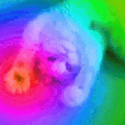 Cat On Skittles Candy Color GIF
