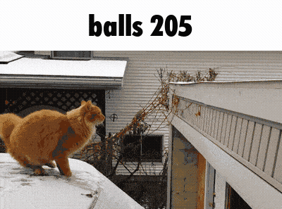Cat On Snowy Roof With Balls 205 GIF