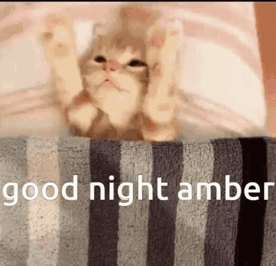 Cat On Striped Blanket Good Night Amber GIF