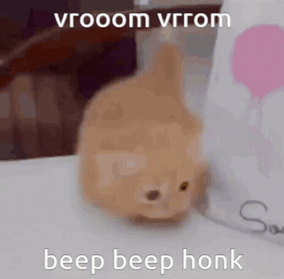 Cat On Table With Beep Beep Honk GIF