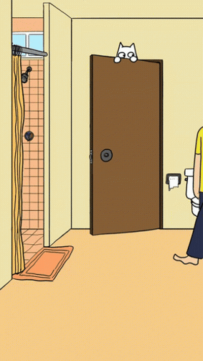 Cat On Top Of Bathroom Door GIF
