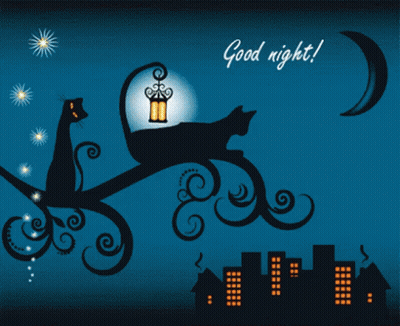 Cat On Tree Branch With Lantern Saying Good Night GIF