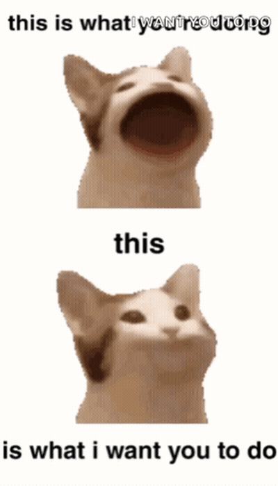 Cat Open Mouth This Is What I Want You To Do GIF