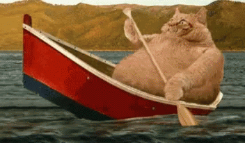 Cat Paddling Boat GIF