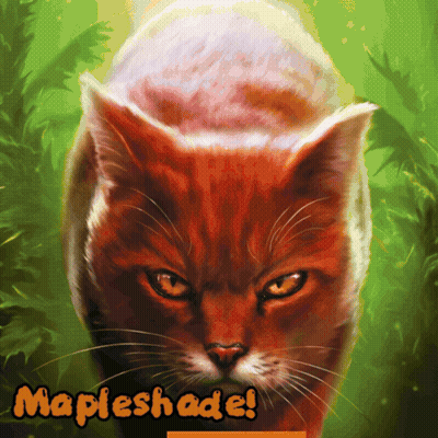 Cat Painting Saying Mapleshade GIF