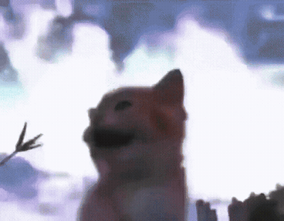 Cat Painting With Bird GIF