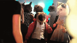 Cat Party Dancing Dog Meow GIF