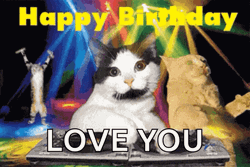 Cat Party Happy Birthday Love You GIF