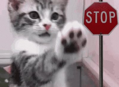 Cat Paw Reaching For Stop Sign GIF