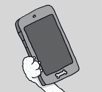 Cat Paws Holding Smartphone GIF
