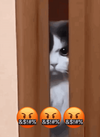Cat Peeking Behind Curtain With Angry Faces Saying & $ ! % GIF