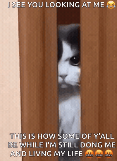 Cat Peeking Door I See You Looking At Me GIF