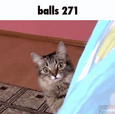 Cat Peeking From Behind Blue Blanket Balls 271 GIF