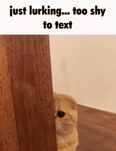 Cat Peeking From Behind Door Just Lurking Too Shy To Text GIF