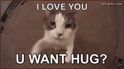 Cat Peeking From Box Saying I Love You U Want Hug GIF
