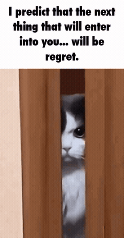 Cat Peeking From Curtain Says I Predict Regret GIF