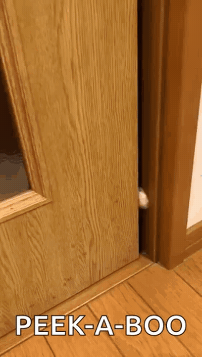 Cat Peeking From Wooden Door With Peek-A-Boo GIF