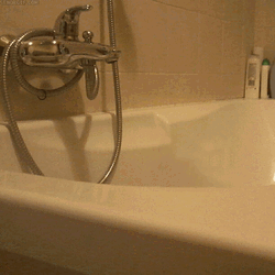 Cat Peeking In Bath Tub GIF