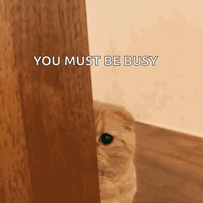Cat Peeking Out Behind Door Must Be Busy GIF