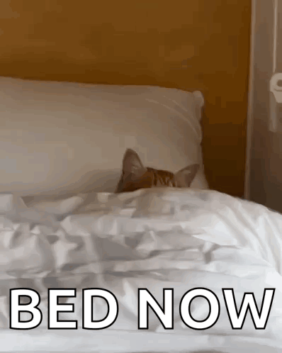 Cat Peeking Out From Under Pillow
