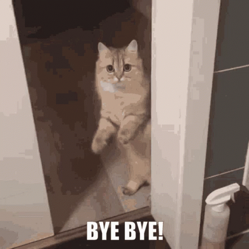 Cat Peeking Out Of Door Bye Bye GIF