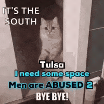 Cat Peeking Out Of Door Saying It's The South GIF
