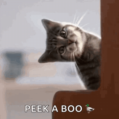Cat Peeking Out Of Door Saying Peek A Boo GIF