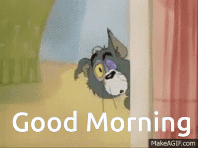 Cat Peeking Out Of Window Good Morning GIF