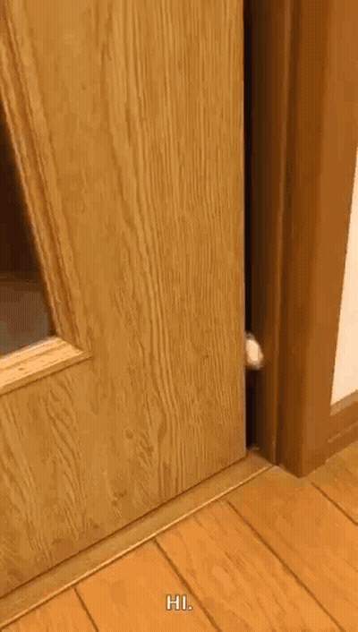 Cat Peeking Out Wooden Door Saying Hi GIF