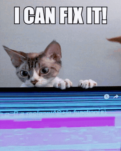 Cat Peeking Over Computer Screen Saying I Can Fix It GIF