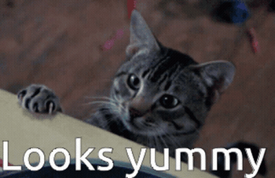 Cat Peeking Over Table Saying Looks Yummy GIF