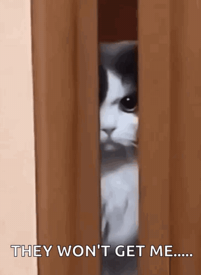 Cat Peeking Through Door Saying They Won't Get Me