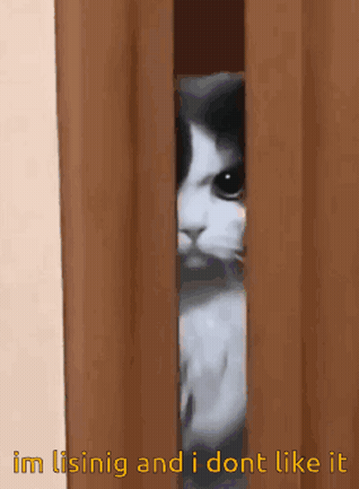 Cat Peeking With Im Lisinig And I Don't Like It GIF
