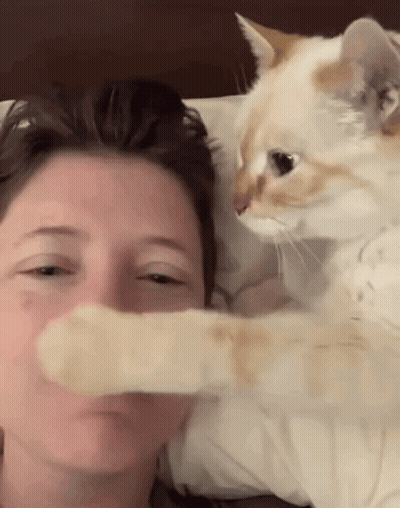 Cat Petting Woman's Face GIF