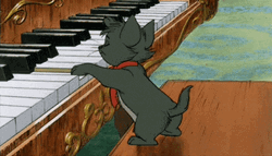 Cat Piano Kitten Trying To Play GIF
