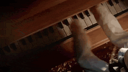 Cat Piano Using After Losing Hairs GIF